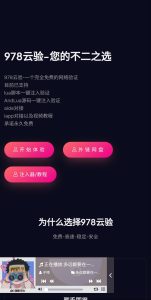 网络验证带注入器(全套源码)-330资源网-资源分享站